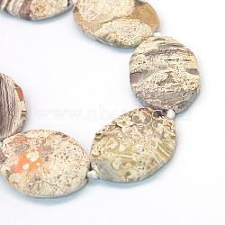 Faceted Oval Natural Ocean Jasper Beads Strands, Light Yellow, 39~56x30~45x7~11mm, Hole: 3mm, about 7~8pcs/strand, 15.7 inch(G-L456-11A)