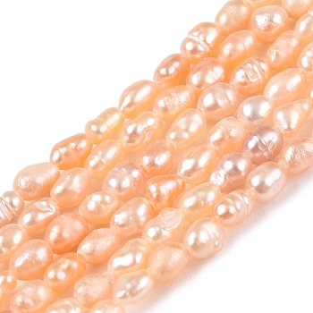 Natural Cultured Freshwater Pearl Beads Strands, Rice, PeachPuff, 2.5~4.5x1.5~2.5mm, Hole: 0.5mm, about 79~81pcs/strand, 13.78 inch(35cm)