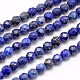 Natural Lapis Lazuli Beads Strands(G-G545-18)-1