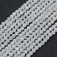 Natural Moonstone Beads Strands, Round, Faceted, 3mm, Hole: 0.5mm, about 113pcs/strand, 15.35 inch(39cm)(X-G-E411-08-3mm)