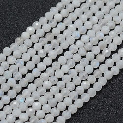 Natural Rainbow Moonstone Beads Strands, Round, Faceted, 3mm, Hole: 0.5mm, about 113pcs/strand, 15.35 inch(39cm)(X-G-E411-08-3mm)