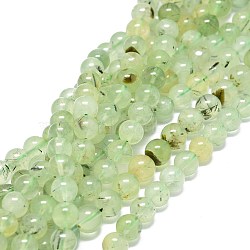 Natural Prehnite Beads Strands, Round, 8~8.5mm, Hole: 1mm, about 46~49pcs/strand, 15.55 inch(39.5cm)(G-O201A-06B)