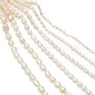 6 Strands 6 Styles Natural Cultured Freshwater Pearl Beads Strands, Oval & Rice, Seashell Color, 1.5~2x1.5~3x1.5~2mm, Hole: 0.5mm, about 142pcs/strand, 13.78 inch(35cm), 1 strand/style(PEAR-NB0002-36)