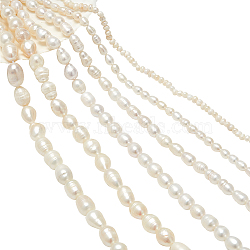 6 Strands 6 Styles Natural Cultured Freshwater Pearl Beads Strands, Oval & Rice, Seashell Color, 1.5~2x1.5~3x1.5~2mm, Hole: 0.5mm, about 142pcs/strand, 13.78 inch(35cm), 1 strand/style(PEAR-NB0002-36)
