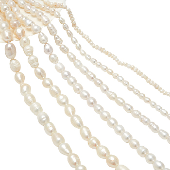 6 Strands 6 Styles Natural Cultured Freshwater Pearl Beads Strands, Oval & Rice, Seashell Color, 1.5~2x1.5~3x1.5~2mm, Hole: 0.5mm, about 142pcs/strand, 13.78 inch(35cm), 1 strand/style