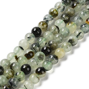 Natural Prehnite Beads Strands, Round, Grade AB, 6mm, Hole: 1mm, about 67pcs/strand, 15.3 inch(39cm).