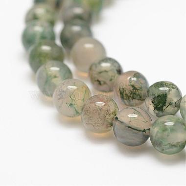 Natural Moss Agate Beads Strands(G-F453-8mm)-3