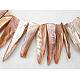 Natural Shell Beads Strands(X-YPBB033)-1