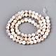 AB Color Natural Freshwater Shell Beads Strands(X-BSHE-T014-40B)-2