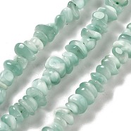 Natural Glass Beads Strands, Chip, 2.5~7.5x6~11.5x6~8.5mm, Hole: 0.9mm, about 103pcs/strand, 15.87''(40.3cm)(G-Q024-C02-01)