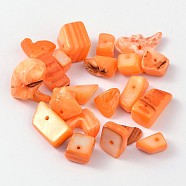 Natural Freshwater Shell Chips Beads, Shell Shards, Dyed, Orange, 8~17x5~7x4~6mm, Hole: 1mm, about 640pcs/500g(BSHE-S007-1)
