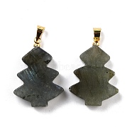 Natural Labradorite Pendants, with Golden Tone Brass Findings, Tree, 26~27x18.5~19x5.5mm, Hole: 5x4mm(G-A203-01F)