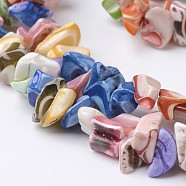 Nuggets Chips Natural Shell Bead Strands, Colorful, 5~8x5~15x2~5mm, Hole: 1mm, about 85pcs/strand, 15.7 inch(BSHE-O016-13)