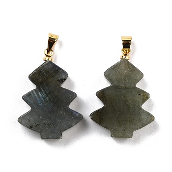 Natural Labradorite Pendants, with Golden Tone Brass Findings, Tree, 26~27x18.5~19x5.5mm, Hole: 5x4mm