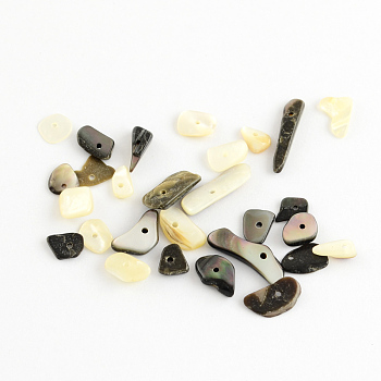 Natural Black Lip Shell Chips Beads, Shell Shards, Black, 6~16x1~6x2~4.5mm, Hole: 1mm