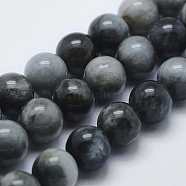 Natural Hawk's Eye Beads Strands, Eagle Eye Stone, Round, 8mm, Hole: 1mm, about 48pcs/strand, 15.5 inch(G-K240-02)