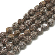 Natural Brown Snowflake Obsidian Beads Strands, Faceted, Round, 6~6.5x5.5~6x5.5~6mm, Hole: 1mm, about 58~59pcs/strand, 13.78 inch~14.17 inch(36cm)(G-S300-101-6MM-01)