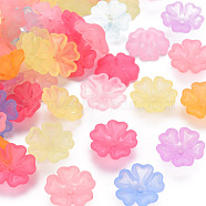 Transparent Frosted Acrylic Bead Caps, 5-Petal, Flower, Mixed Color, 16.5x6mm, Hole: 1.6mm, about 959pcs/500g(MACR-S371-04A)