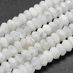 Natural Moonstone Beads Strands, Rondelle, Faceted, 8~8.5x4mm, Hole: 1mm, about 94pcs/strand, 15.7 inches(40cm)(G-O170-67B)