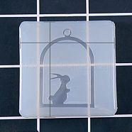 Bunny Pendant Silicone Molds, Resin Casting Molds, For UV Resin, Epoxy Resin Jewelry Making, Rabbit with Cage, White, 57x57x6mm, Hole: 3.5mm(DIY-F037-E06)