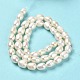 Natural Cultured Freshwater Pearl Beads Strands(PEAR-E016-171)-3