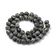 Natural Green Zebra Jasper Beads Strands(G-S259-34-10mm)-2