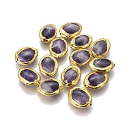 Natural Amethyst Beads, with Golden Plated Brass Findings, Oval, 17~20x12~14x5~6mm, Hole: 0.8mm(G-F633-15G)