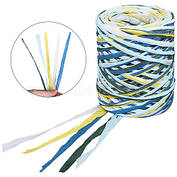 6 Colors Raffia Paper Cords, for DIY Jewelry Making, Colorful, 4~5.5mm, about 87.49 Yards(80m)/Skein(OCOR-WH0063-110C)