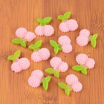 Resin Cabochons, Fruit, Pearl Pink, 13x13x4mm