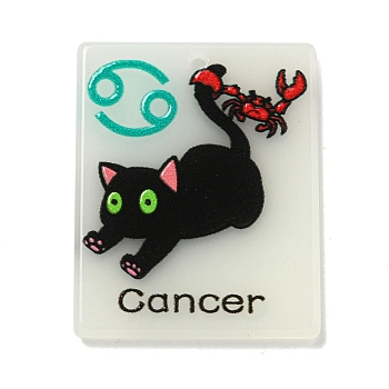 Acrylic Pendants,
Constellation Cat, Cancer, 34x27x2.5mm, Hole: 2mm