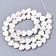 Eau douce naturelle de coquillage perles brins(X-SHEL-N026-51B-01)-2