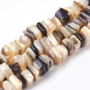Freshwater Shell Beads Strands, Square Chip, Seashell Color, 8~11x6~8x2~5mm, Hole: 0.6mm, 15.7~15.9 inch(40~40.5cm)(BSHE-O017-09)