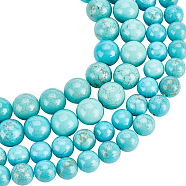 2 Strands 2 Style Natural Howlite Beads Strands, Dyed & Heated, Round, 8mm/10mm, 1 strand/style(G-NB0003-16)