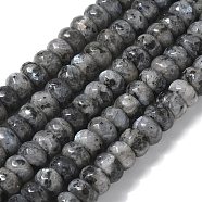 Faceted Natural Labradorite Rondelle Beads Strands, 8x5mm, Hole: 1mm, about 76pcs/strand, 15.2 inch(G-K090-02)