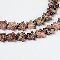 Natural Leopard Skin Beads Strands, Star, 6x2.5mm, Hole: 1mm, about 70pcs/strand, 15.3 inch(G-M201-27-6mm)