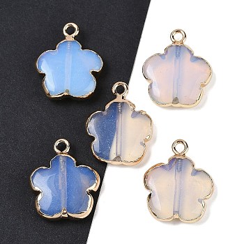 Opalite Pendants, Flower Charms with Brass Findings, Golden, 23~24x21x6mm, Hole: 1.8mm