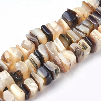 Freshwater Shell Beads Strands, Square Chip, Seashell Color, 8~11x6~8x2~5mm, Hole: 0.6mm, 15.7~15.9 inch(40~40.5cm)