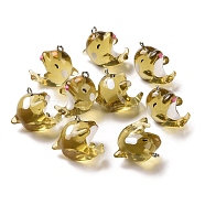 Marine Series Transparent Resin Pendants, Dolphin Charm, with Platinum Plated Iron Findings, Goldenrod, 21x16.5x24mm, Hole: 2mm(RESI-E031-02P-10)