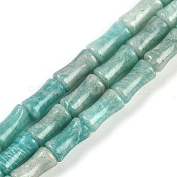 Natural Amazonite Beads Strands, Bamboo Joint, 11x6mm, Hole: 1mm, about 36pcs/strand, 15.75''(40cm)(G-H064-C01-01)