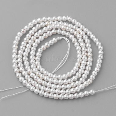 Chapelets de perles de coquille(PEAR-R064-94)-2