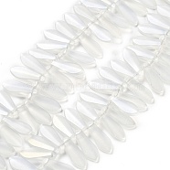 Electroplate Glass Beads Strands, Teardrop, Clear AB, 16x6x3.5mm, Hole: 0.8mm, about 202pcs/strand, 25.20 inch(64cm)(EGLA-C005-01A-AB01)