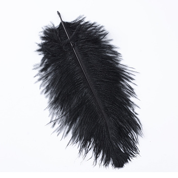 Ostrich Feather Costume Accessories, Dyed, Black, 15~20cm