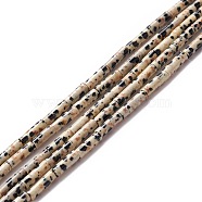 Natural Dalmatian Jasper Beads Strands, Column, 9~10.5x3mm, Hole: 0.9~1mm, about 40~43pcs/strand, 15.35 inch~15.55 inch(39~39.5cm)(G-A201-B12)