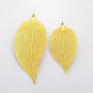 Natural Leaf Plating Brass Large Pendants, Golden, 50~95x20~60x0.6mm, Hole: 3.5mm(IFIN-N3253-22G)