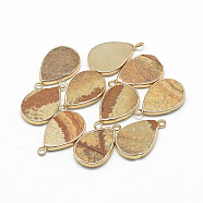 Natural Picture Jasper Pendants, with Iron Findings, teardrop, Golden, 22~23x13~14x3~4mm, Hole: 2mm(G-Q494-52D)