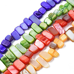 Natural Trochid Shell/Trochus Shell Beads Strands, Dyed, Rectangle, Mixed Color, 6~11x6~36x1~7mm, Hole: 1mm, about 45~55pcs/strand, 14.96 inch~15.35 inch(38cm~39cm)(SHEL-S258-082)