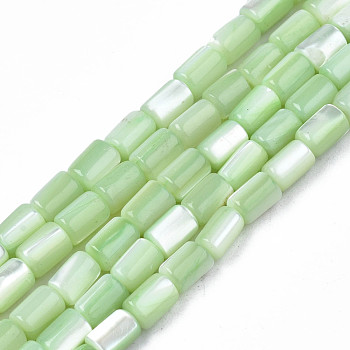 Natural Trochid Shell/Trochus Shell Beads Strands, Dyed, Column, Aquamarine, 4~5x3~3.5mm, Hole: 0.9mm, about 77~78pcs/strand, 15.55 inch~15.75 inch(39.5~40cm)