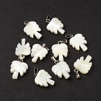 Natural Trochid Shell/Trochus Shell Pendants, Coconut Tree Charms, with Platinum Tone Iron Snap on Bails, Seashell Color, 18.5x13x3~4mm, Hole: 5x1.8mm