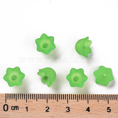 Transparent Acrylic Beads Caps(PL543-9)-4
