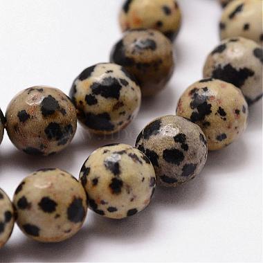 Natural Dalmatian Jasper Beads Strands(G-D840-49-10mm)-3